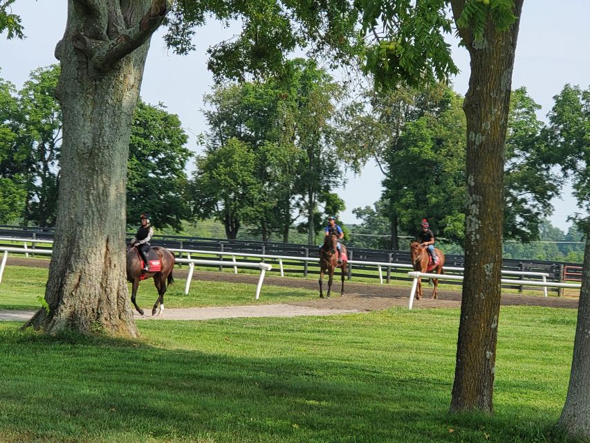 From Lexington: Kentucky Horse Farms Tour - Key points at a glance