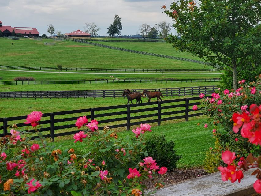 From Lexington: Kentucky Horse Farms Tour - The scenery is part of the value