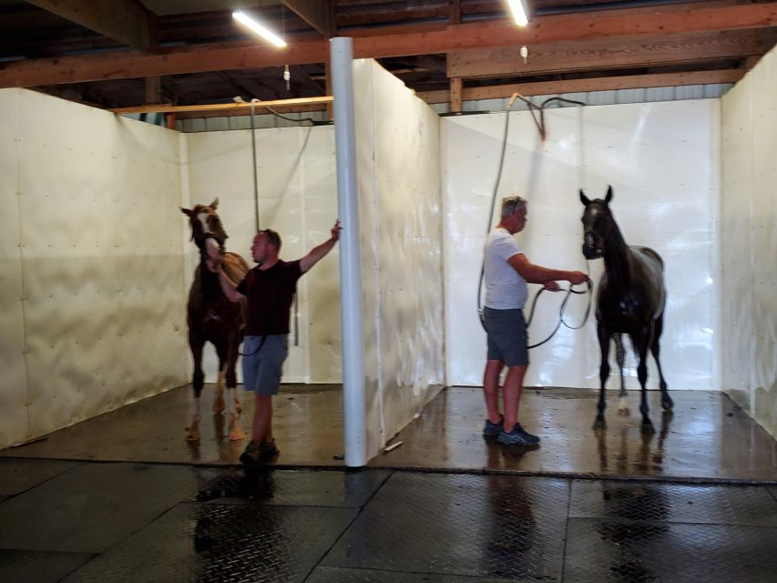 From Lexington: Kentucky Horse Farms Tour - Who should book this experience?