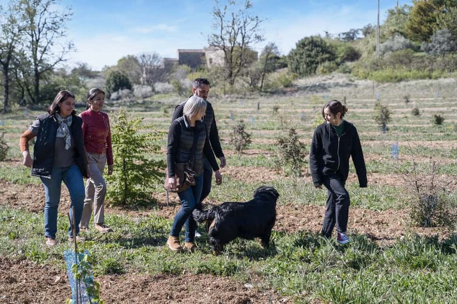 From location: Truffle farm visit, culinary workshop, meal - Key points to know before booking