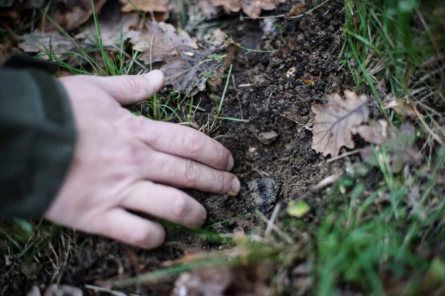 From location: Truffle farm visit, culinary workshop, meal - Why Maison de Garniac is different from a standard food tasting
