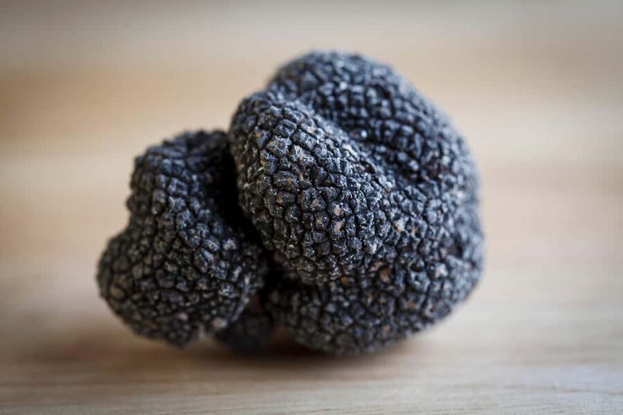 From location: Truffle farm visit, culinary workshop, meal - Who will enjoy this experience most?