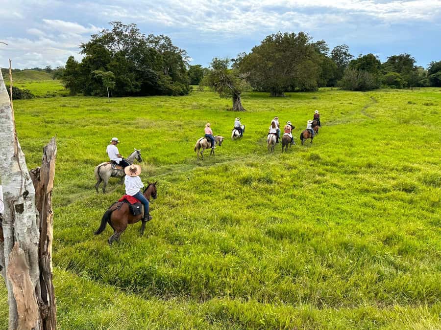 From Medellin; (All-In) The Real Horseback Ranch Experience - Key points before you book