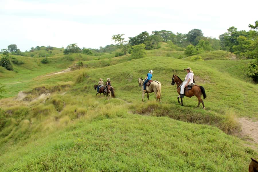 From Medellin; (All-In) The Real Horseback Ranch Experience - What to wear and who should skip it