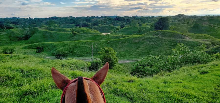 From Medellin; (All-In) The Real Horseback Ranch Experience - Safety briefing, horses, and a proper ranch ride