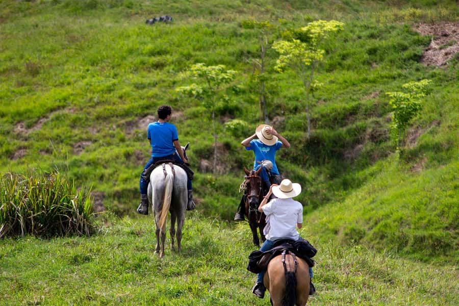 From Medellin; (All-In) The Real Horseback Ranch Experience - Language, group size, and the family behind N’AYRA