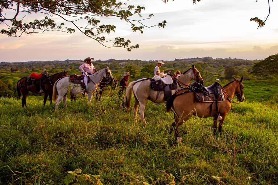 From Medellin; (All-In) The Real Horseback Ranch Experience - The 5 a.m. start and three-hour ride from Medellín