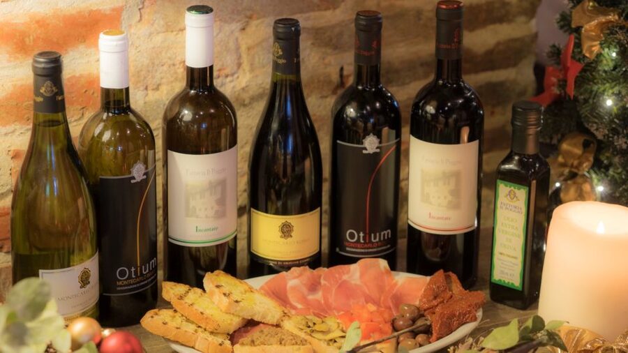 From Montecatini Terme: Wine Experience in Tuscan Farm - A brief walk among vines and olive trees