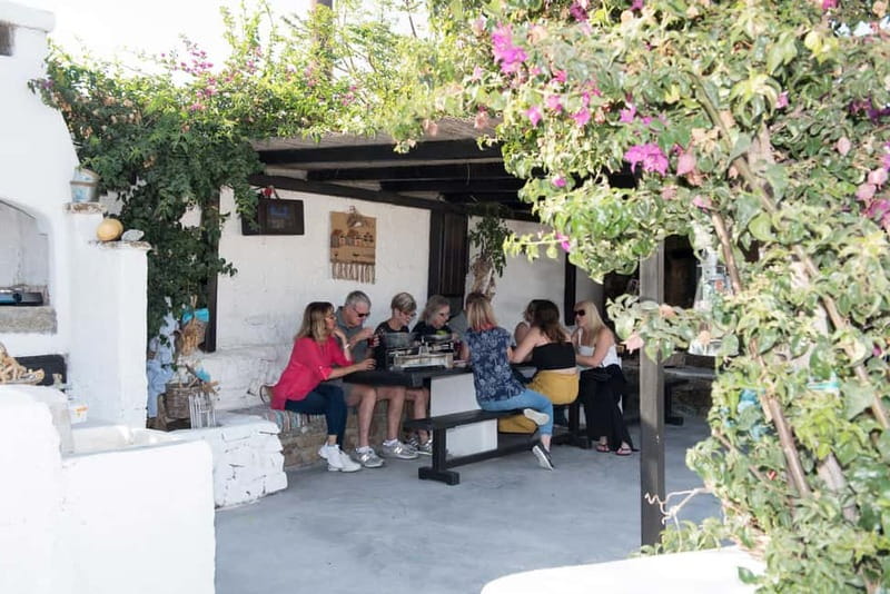 From Mykonos: Ano Mera Farm Tour - Practical Tips for a Better Visit