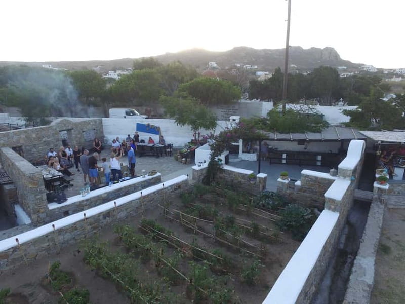 From Mykonos: Ano Mera Farm Tour - What the 2.5-Hour Schedule Really Means