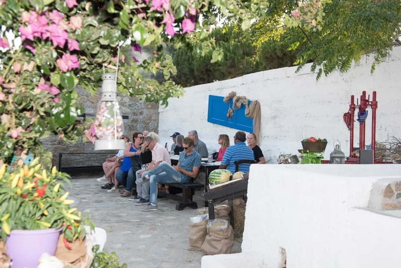 From Mykonos: Ano Mera Farm Tour - Is $51 a Fair Price?