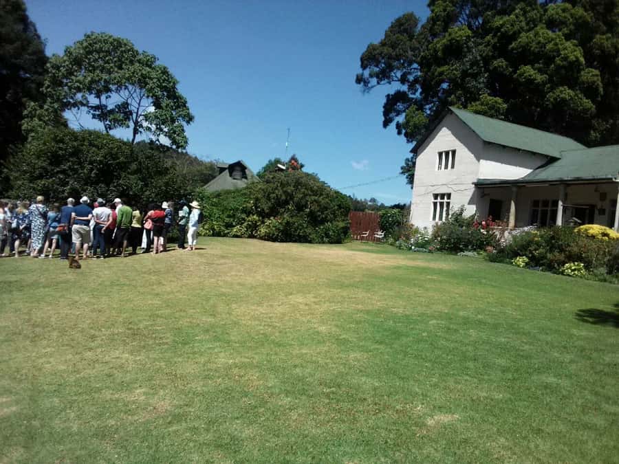 From Nairobi: Kiambethu Tea Farm Tour & Lunch - A Three-Course Lunch at the Estate