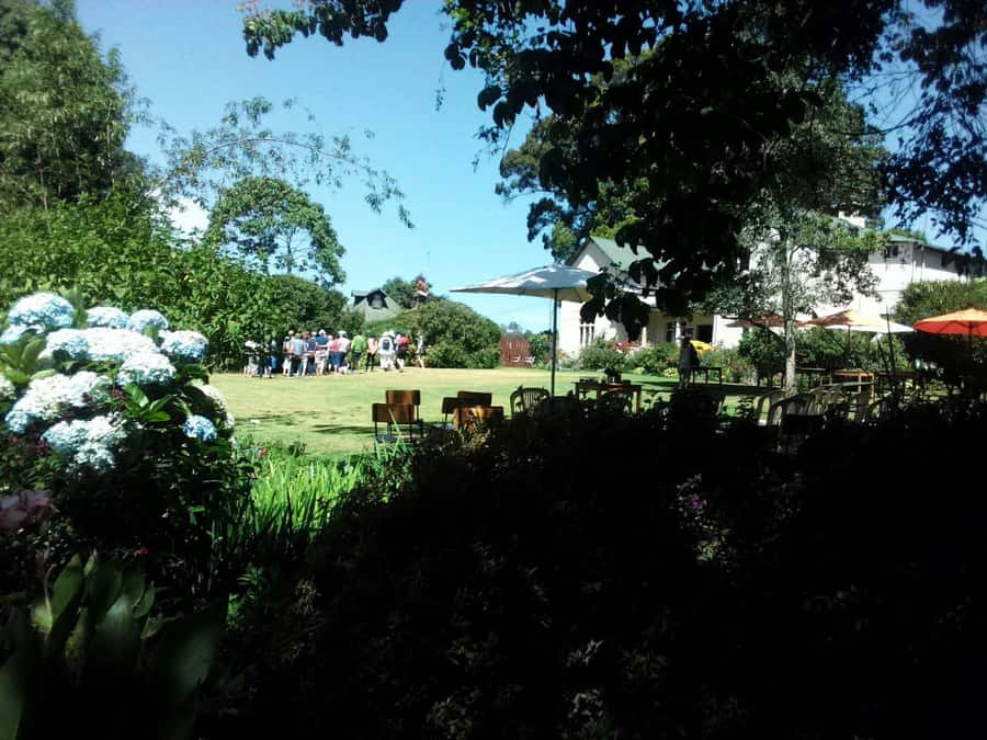 From Nairobi: Kiambethu Tea Farm Tour & Lunch - Small Groups and Guide Quality