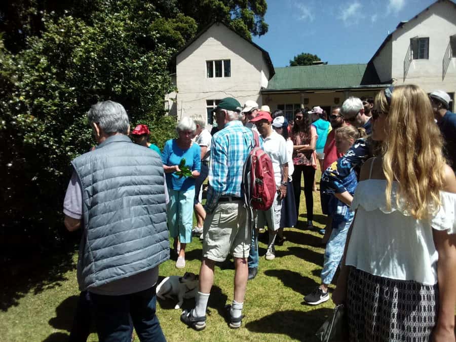 From Nairobi: Kiambethu Tea Farm Tour & Lunch - Who Will Enjoy This Experience Most?