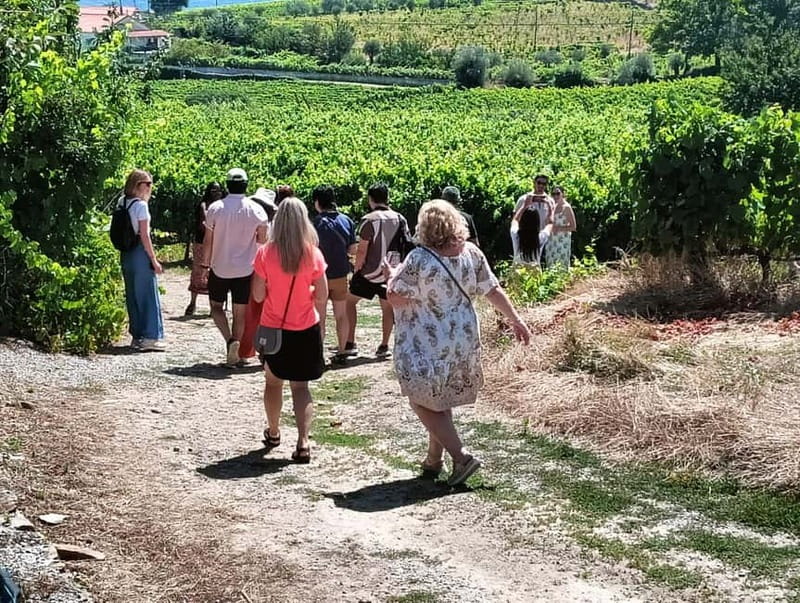 From Porto: 2 Wine Regions, Farm Lunch, and Boat Ride - A café breakfast and the first Douro views