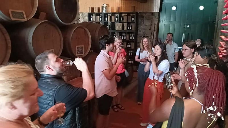 From Porto: 2 Wine Regions, Farm Lunch, and Boat Ride - The first winery: a longer meal and tasting stop
