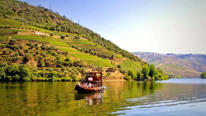 From Porto: 2 Wine Regions, Farm Lunch, and Boat Ride - Meeting in Porto and settling into the van
