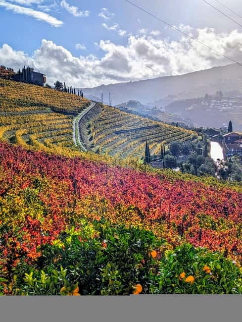 From Porto: 2 Wine Regions, Farm-to-Table Lunch & Boat - Who should book this experience?