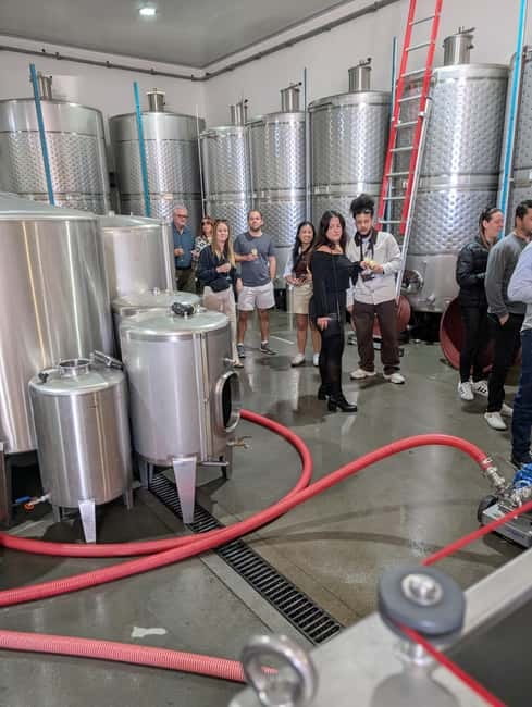 From Porto: 2 Wine Regions, Farm-to-Table Lunch & Boat - Farm-to-table food at the winery