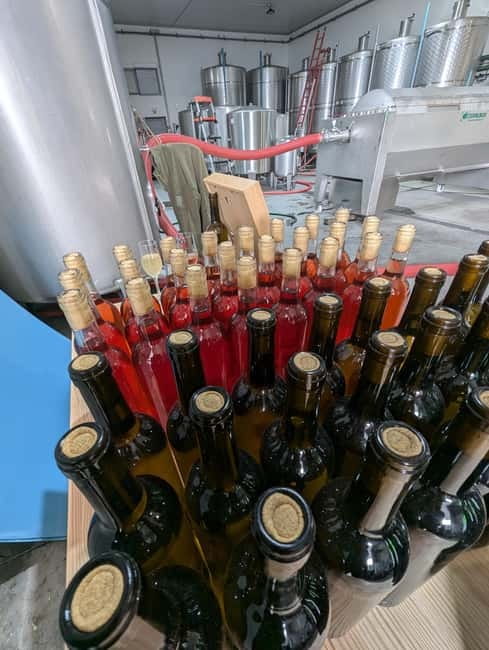 From Porto: 2 Wine Regions, Farm-to-Table Lunch & Boat - Pinhão and one hour on the Douro