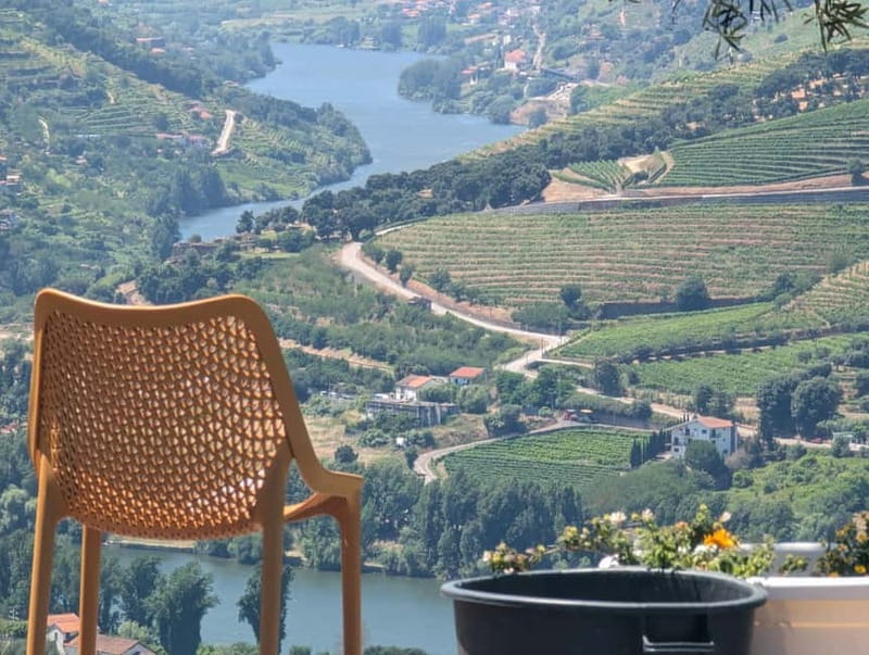 From Porto: 2 Wine Regions, Farm-to-Table Lunch & Boat - Wine quantity, pacing, and the social mood