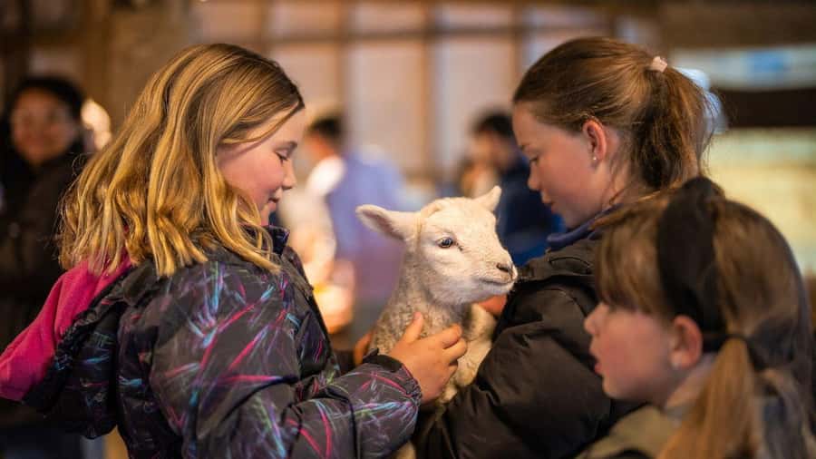 From Queenstown: Coach, Farm Tour & Milford Nature Cruise - Weather, clothing, and practical preparation