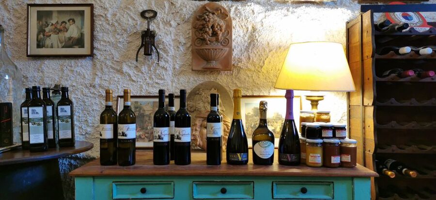 From Rome: Half-Day Frascati Wine Tour with Farmhouse Lunch - Who will enjoy this most