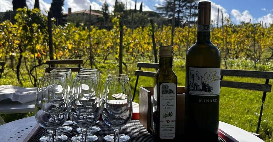 From Rome: Half-Day Frascati Wine Tour with Farmhouse Lunch - Why Frascati makes a smart break from Rome