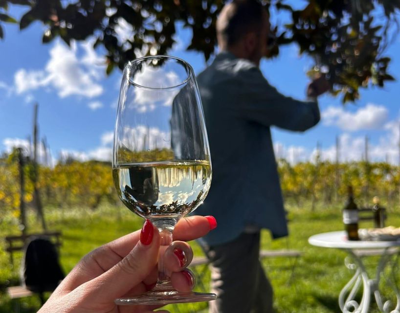 From Rome: Half-Day Frascati Wine Tour with Farmhouse Lunch - From town to a family farmhouse