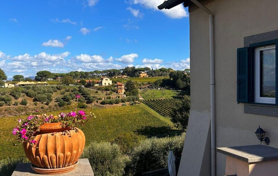 From Rome: Half-Day Frascati Wine Tour with Farmhouse Lunch - Three wines, olive oil, and a real lunch