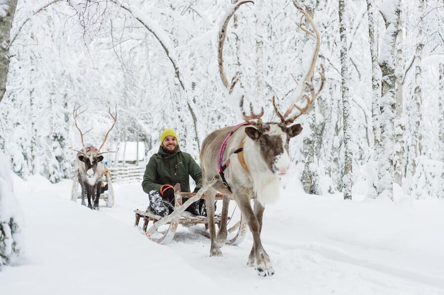 From Rovaniemi: Husky and Reindeer farm with sled ride - What the $259 price really buys you