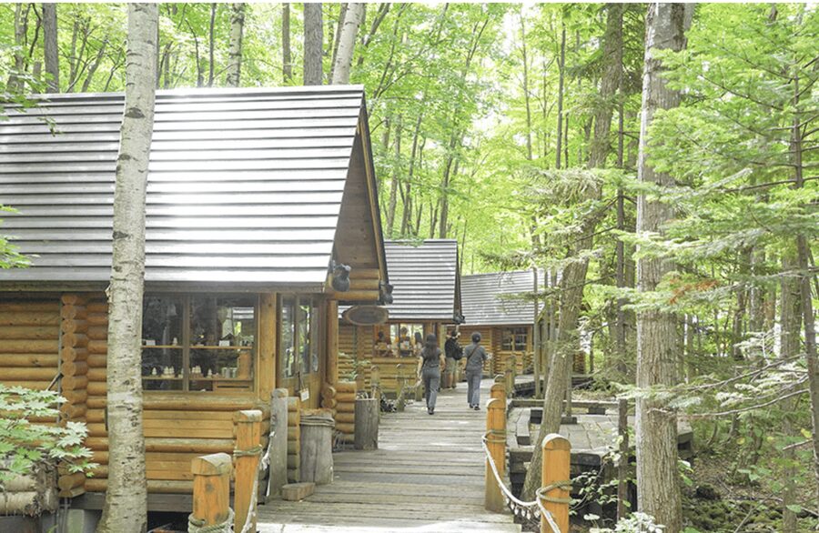 From Sapporo : Hokkaido Furano Tomita Farm Joiner Tour - Who will enjoy this trip most