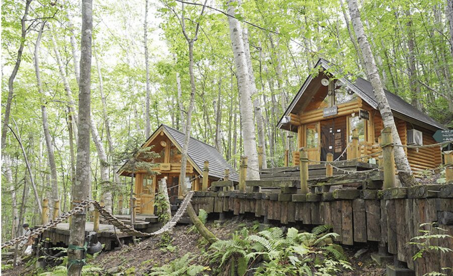 From Sapporo : Hokkaido Furano Tomita Farm Joiner Tour - Ningle Terrace and its wooden cabins