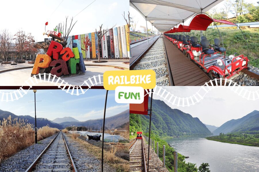 From Seoul: Full Day Trip to Alpaca Farm with Rail Bike - Gangchon Rail Park: old tracks, river views, and easy pedaling