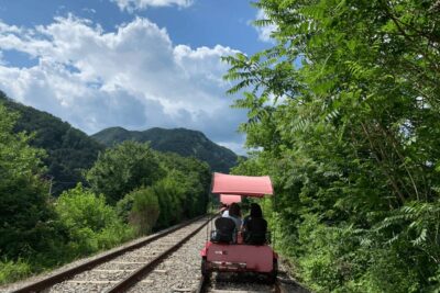 From Seoul: Full Day Trip to Alpaca Farm with Rail Bike