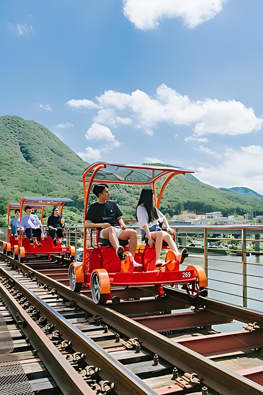 From Seoul: Full Day Trip to Alpaca Farm with Rail Bike - Luge at Vivaldi Park: the faster alternative