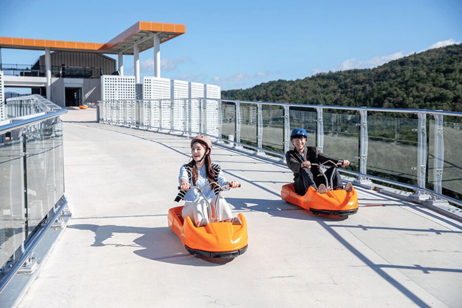 From Seoul: Full Day Trip to Alpaca Farm with Rail Bike - Alpaca World: the most memorable stop for animal lovers