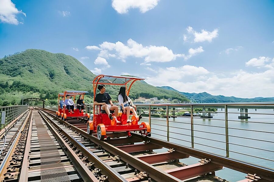From Seoul: Full Day Trip to Alpaca Farm with Rail Bike - Guides, languages, and group comfort