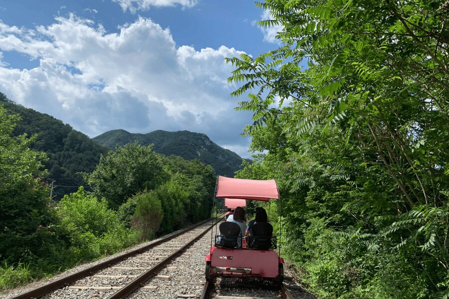 From Seoul: Full Day Trip to Alpaca Farm with Rail Bike - Starting in Seoul: three meeting points and one return point
