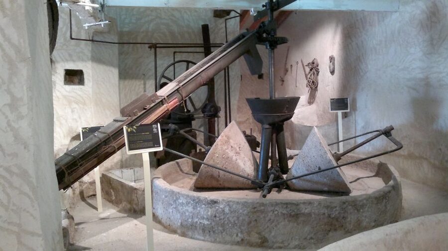 From Seville: Olive Oil Farm Tour - Leaving Seville for the olive country
