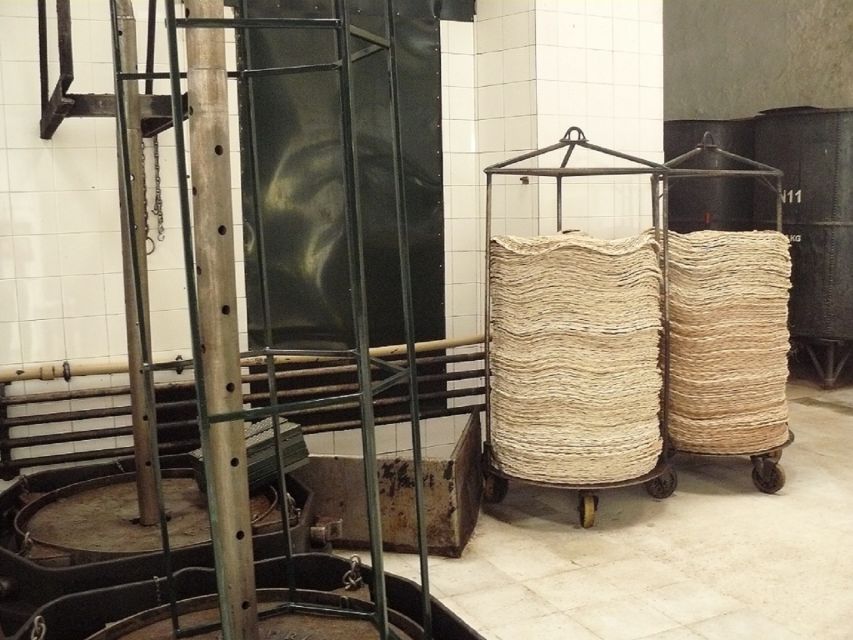 From Seville: Olive Oil Farm Tour - The guides make a real difference