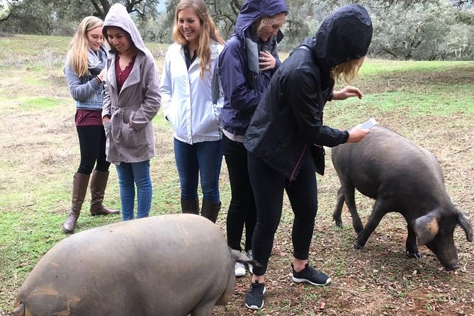 From Seville: Pig Farm private day tour and old villages visit - Key points before you book