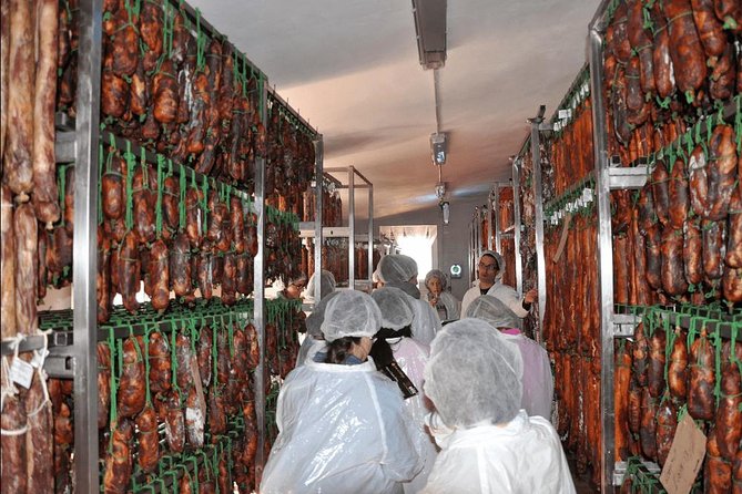 From Seville: Pig Farm private day tour and old villages visit - Aracena’s castle and local shopping