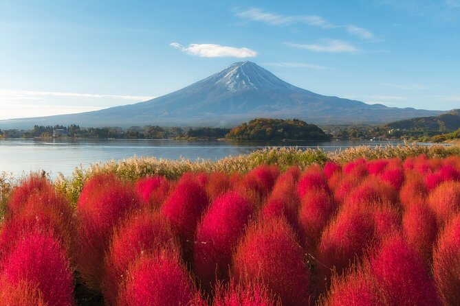 From Tokyo Mt.Fuji, Lake Kawaguchi, Makaino Farm day tour - Oishi Park and the first Fuji view