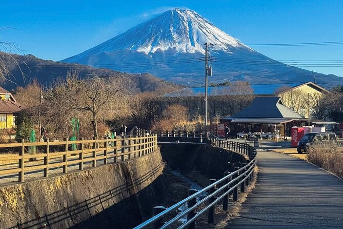 From Tokyo Mt.Fuji, Lake Kawaguchi, Makaino Farm day tour - Two and a half hours at Makaino Farm