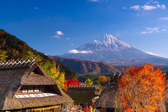 From Tokyo Mt.Fuji, Lake Kawaguchi, Makaino Farm day tour - Why the weather can make or break the day