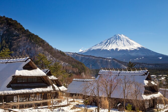 From Tokyo Mt.Fuji, Lake Kawaguchi, Makaino Farm day tour - The guide, coach, and practical rhythm