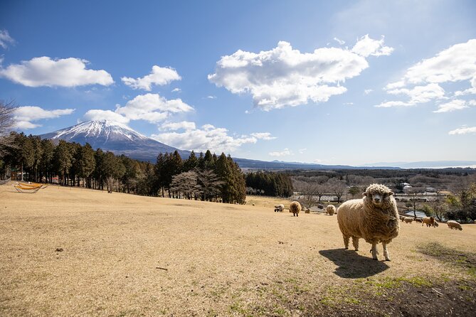 From Tokyo Mt.Fuji, Lake Kawaguchi, Makaino Farm day tour - Is $84.70 a good deal?