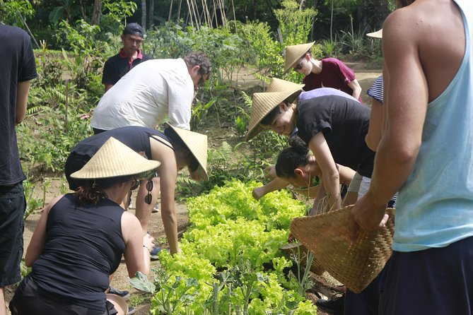 From Ubud: Authentic Bali Farm Cooking School & Organic Farm - Who will enjoy this Bali cooking class
