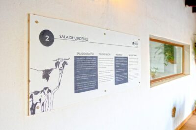 Fuerteventura: Artisan Goat’s Cheese Making at Local Farm